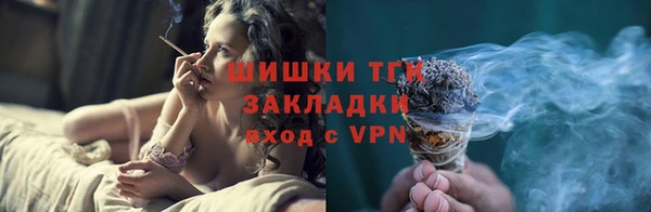 индика Абаза