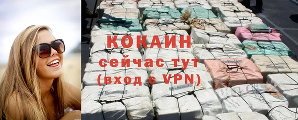 индика Абаза
