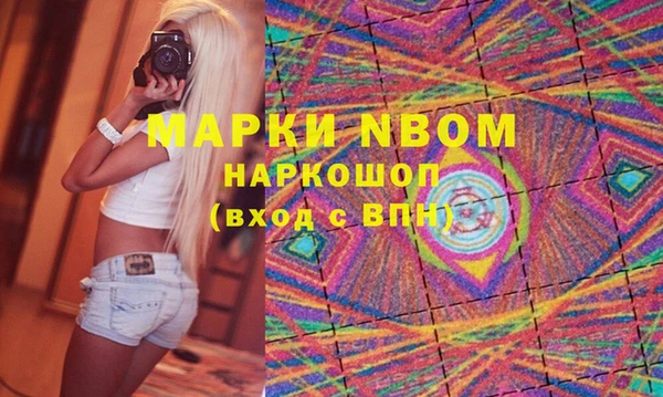 индика Абаза