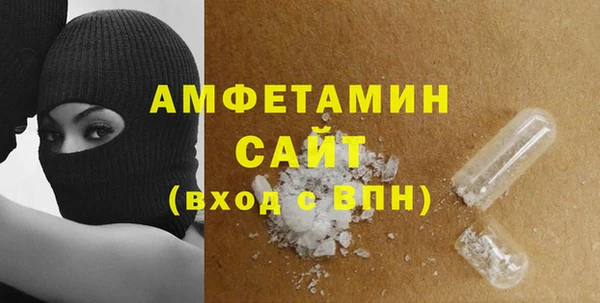 индика Абаза