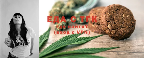 индика Абаза